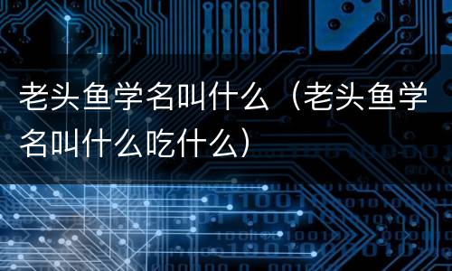 老头鱼学名叫什么（老头鱼学名叫什么吃什么）