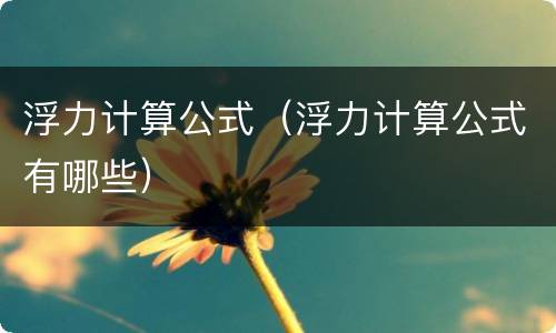 浮力计算公式(浮力计算公式有哪些)