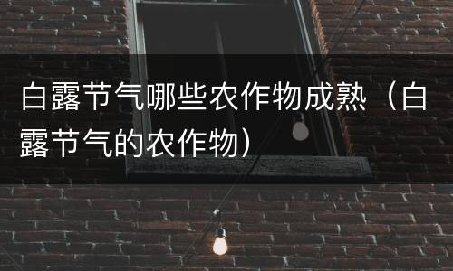 白露节气哪些农作物成熟（白露节气的农作物）