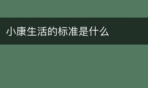 小康生活的标准是什么