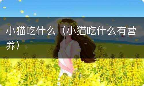 小猫吃什么（小猫吃什么有营养）