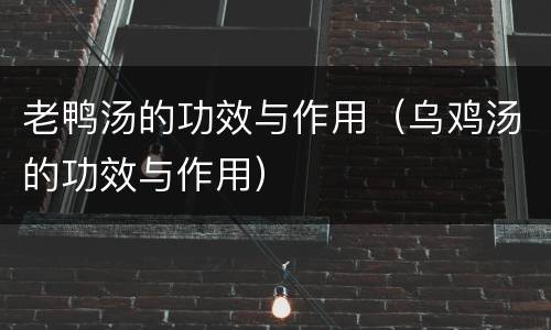 老鸭汤的功效与作用（乌鸡汤的功效与作用）