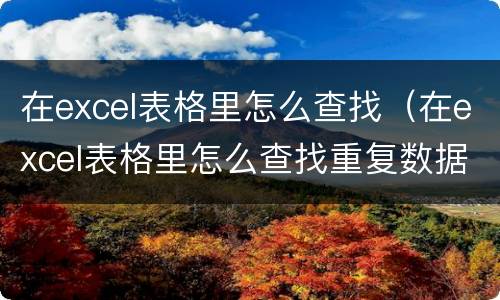 在excel表格里怎么查找（在excel表格里怎么查找重复数据）
