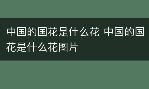 中国的国花是什么花 中国的国花是什么花图片