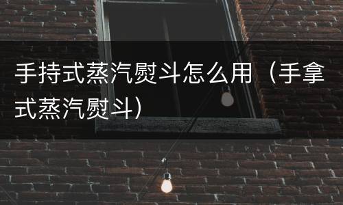 手持式蒸汽熨斗怎么用（手拿式蒸汽熨斗）