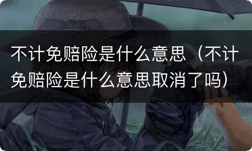 不计免赔险是什么意思（不计免赔险是什么意思取消了吗）