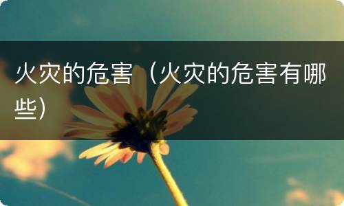火灾的危害（火灾的危害有哪些）