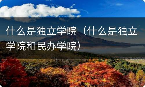 什么是独立学院(什么是独立学院和民办学院)