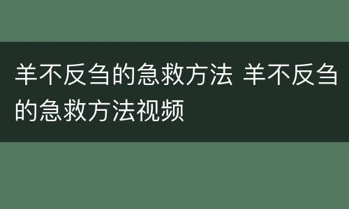 羊不反刍的急救方法 羊不反刍的急救方法视频