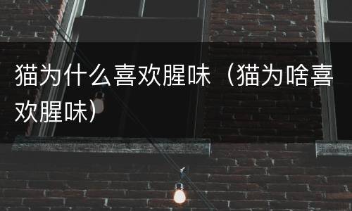 猫为什么喜欢腥味（猫为啥喜欢腥味）