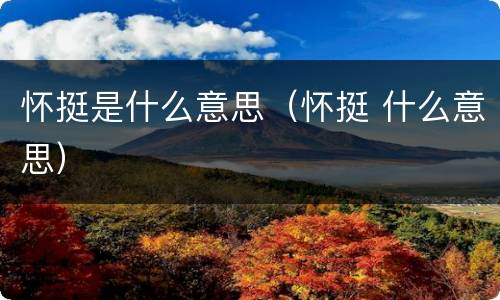 怀挺是什么意思（怀挺 什么意思）