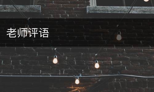 老师评语
