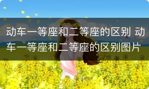 动车一等座和二等座的区别 动车一等座和二等座的区别图片