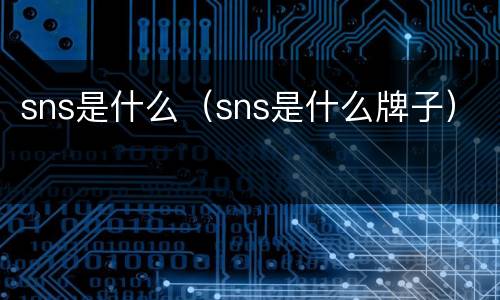sns是什么（sns是什么牌子）