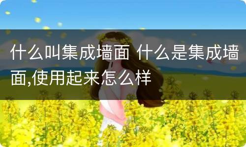 什么叫集成墙面 什么是集成墙面,使用起来怎么样