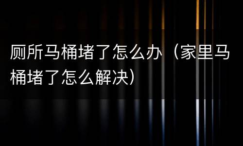 厕所马桶堵了怎么办（家里马桶堵了怎么解决）