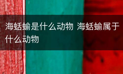 海蛞蝓是什么动物 海蛞蝓属于什么动物