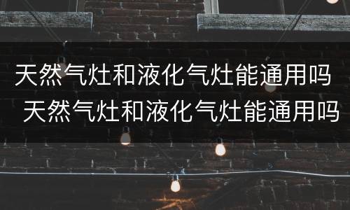 天然气灶和液化气灶能通用吗 天然气灶和液化气灶能通用吗安全吗