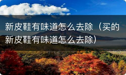 新皮鞋有味道怎么去除（买的新皮鞋有味道怎么去除）