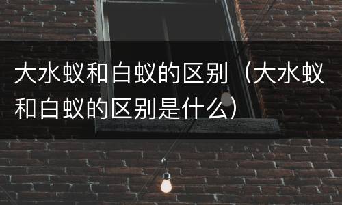 大水蚁和白蚁的区别（大水蚁和白蚁的区别是什么）