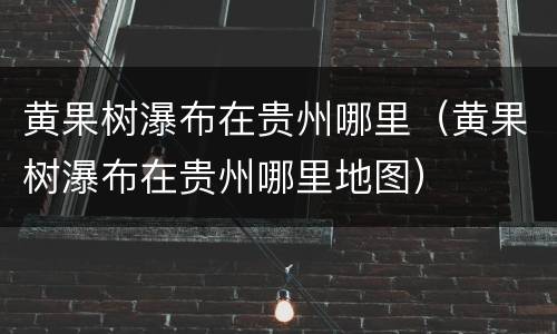 黄果树瀑布在贵州哪里（黄果树瀑布在贵州哪里地图）