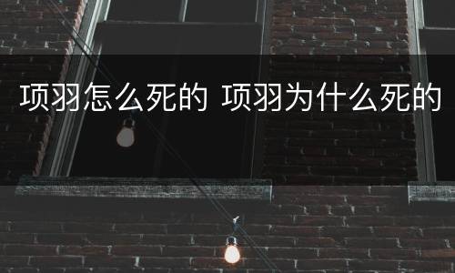 项羽怎么死的 项羽为什么死的