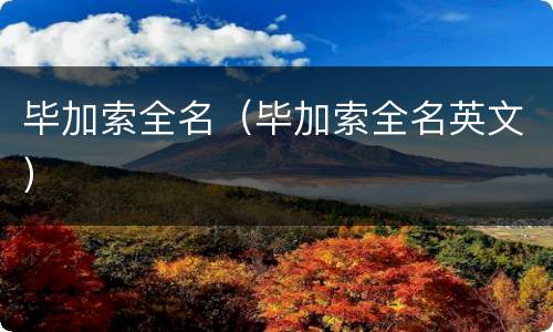 毕加索全名（毕加索全名英文）