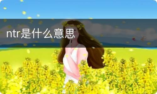 ntr是什么意思