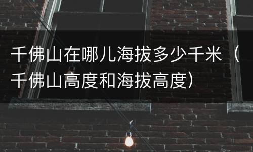千佛山在哪儿海拔多少千米（千佛山高度和海拔高度）