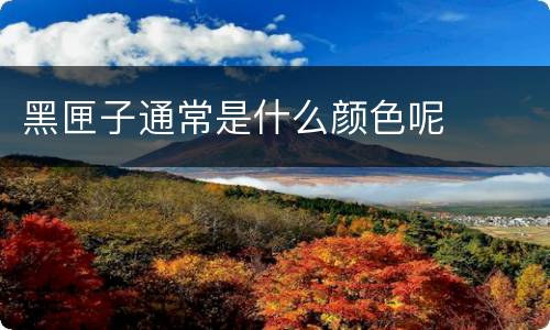 黑匣子通常是什么颜色呢