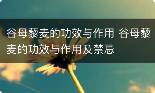 谷母藜麦的功效与作用 谷母藜麦的功效与作用及禁忌