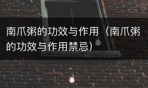 南爪粥的功效与作用（南爪粥的功效与作用禁忌）