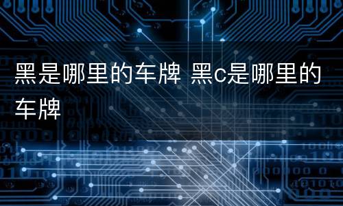 黑是哪里的车牌 黑c是哪里的车牌