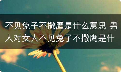不见兔子不撒鹰是什么意思 男人对女人不见兔子不撒鹰是什么意思