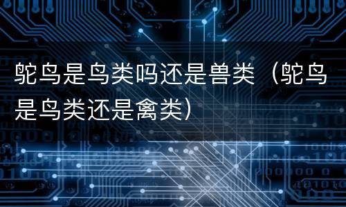 鸵鸟是鸟类吗还是兽类（鸵鸟是鸟类还是禽类）