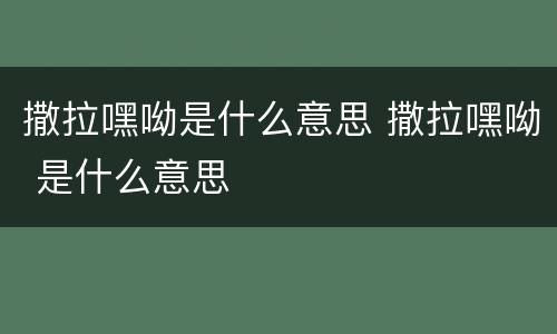 撒拉嘿呦是什么意思 撒拉嘿呦 是什么意思