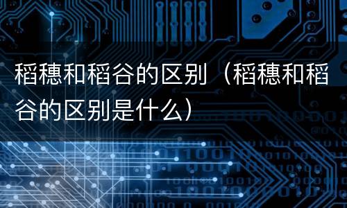 稻穗和稻谷的区别（稻穗和稻谷的区别是什么）