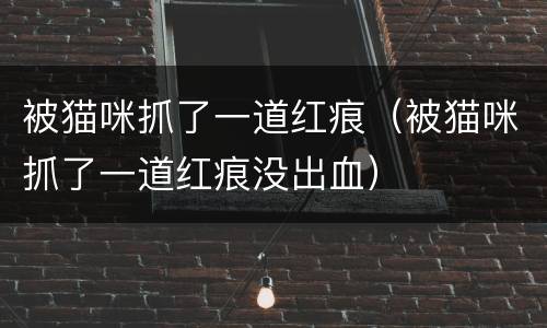 被猫咪抓了一道红痕(被猫咪抓了一道红痕没出血)