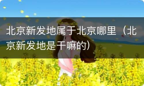 北京新发地属于北京哪里(北京新发地是干嘛的)