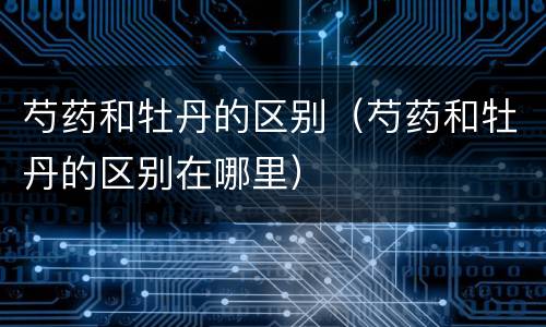 芍药和牡丹的区别（芍药和牡丹的区别在哪里）