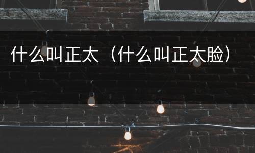 什么叫正太（什么叫正太脸）