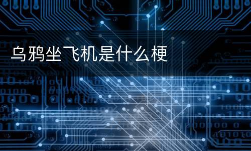 乌鸦坐飞机是什么梗