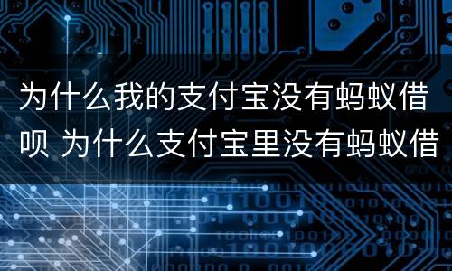 为什么我的支付宝没有蚂蚁借呗 为什么支付宝里没有蚂蚁借呗