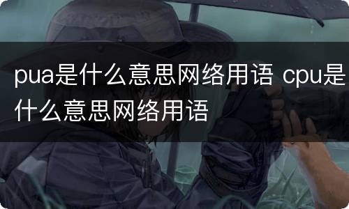pua是什么意思网络用语 cpu是什么意思网络用语