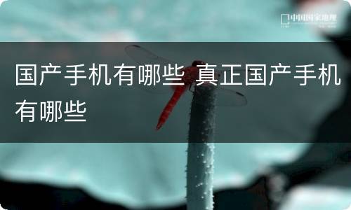 国产手机有哪些 真正国产手机有哪些