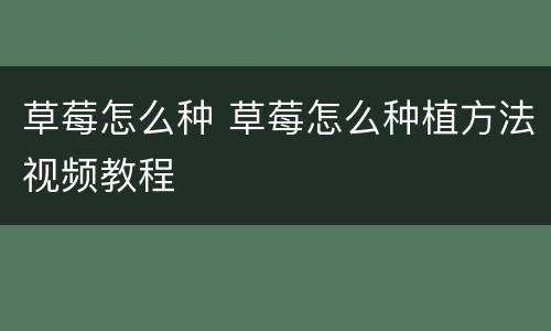 草莓怎么种 草莓怎么种植方法视频教程