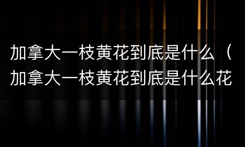 加拿大一枝黄花到底是什么（加拿大一枝黄花到底是什么花）