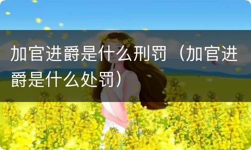 加官进爵是什么刑罚（加官进爵是什么处罚）