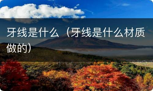 牙线是什么（牙线是什么材质做的）
