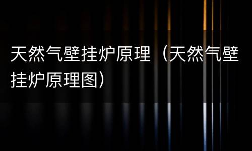 天然气壁挂炉原理（天然气壁挂炉原理图）